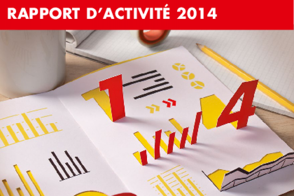 RAPPORT D’ACTIVITÉ 2015