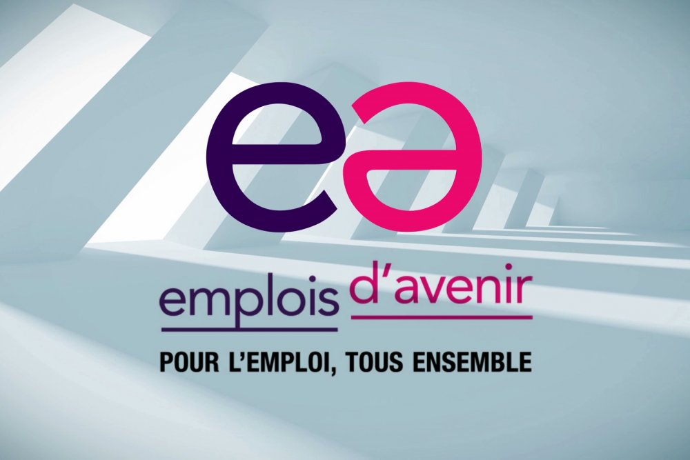 Emplois d'avenir et FPH