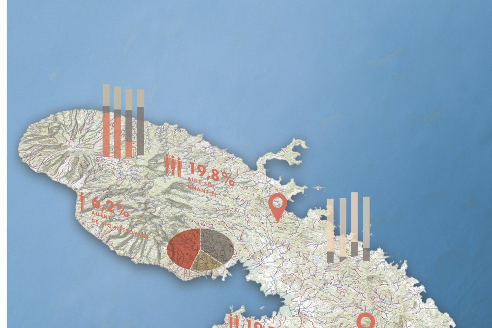 Cartographie Martinique