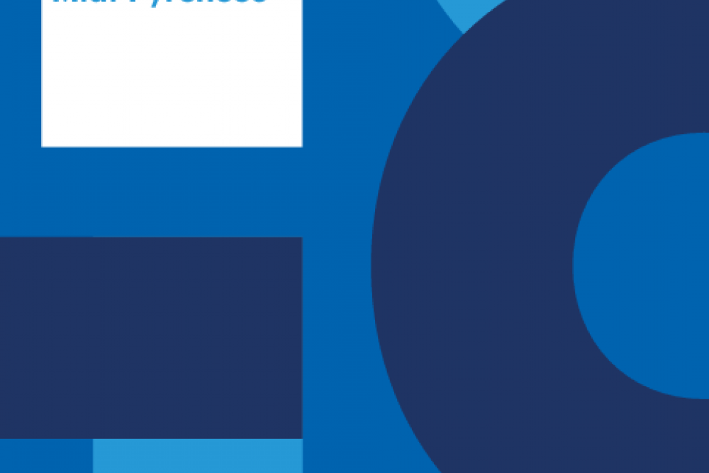 RAPPORT D'ACTIVITÉ 2018 ANFH MIDI-PYRENEES