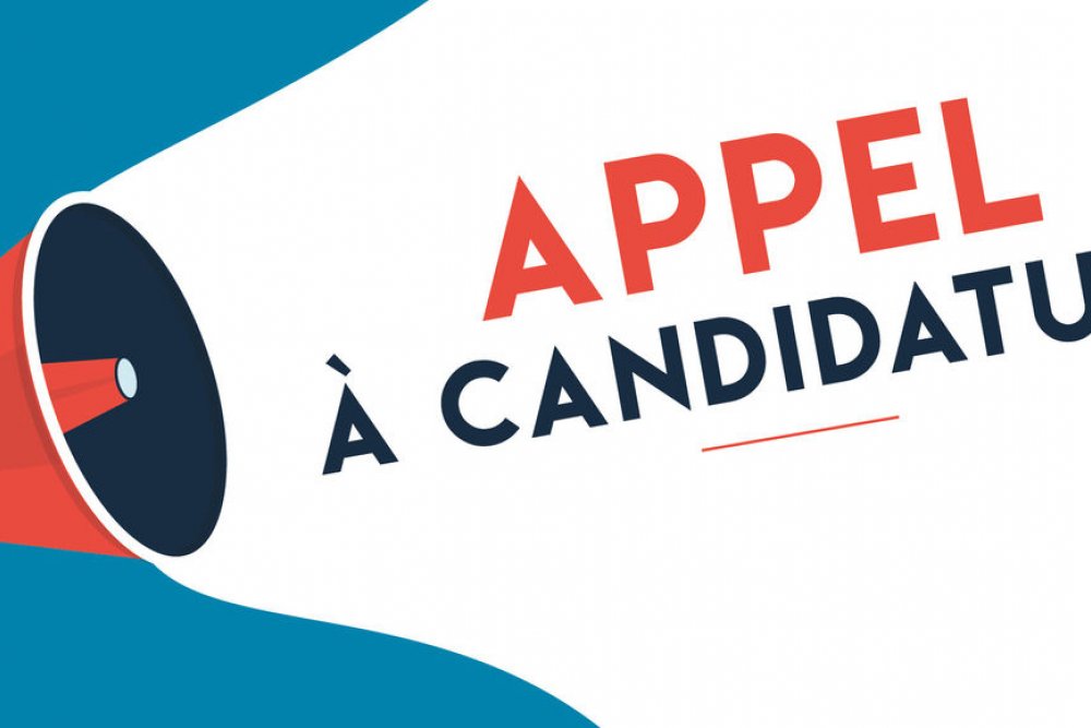Appel à candidatures pour participer aux Commissions d'Analyse des Offres de formation 2025 