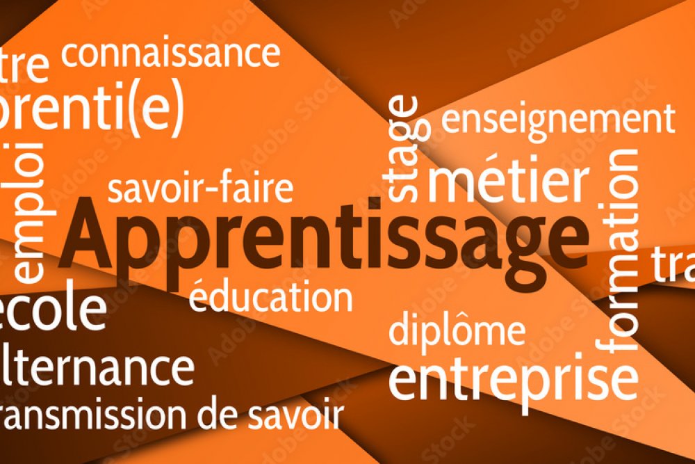 Apprentissage 2024