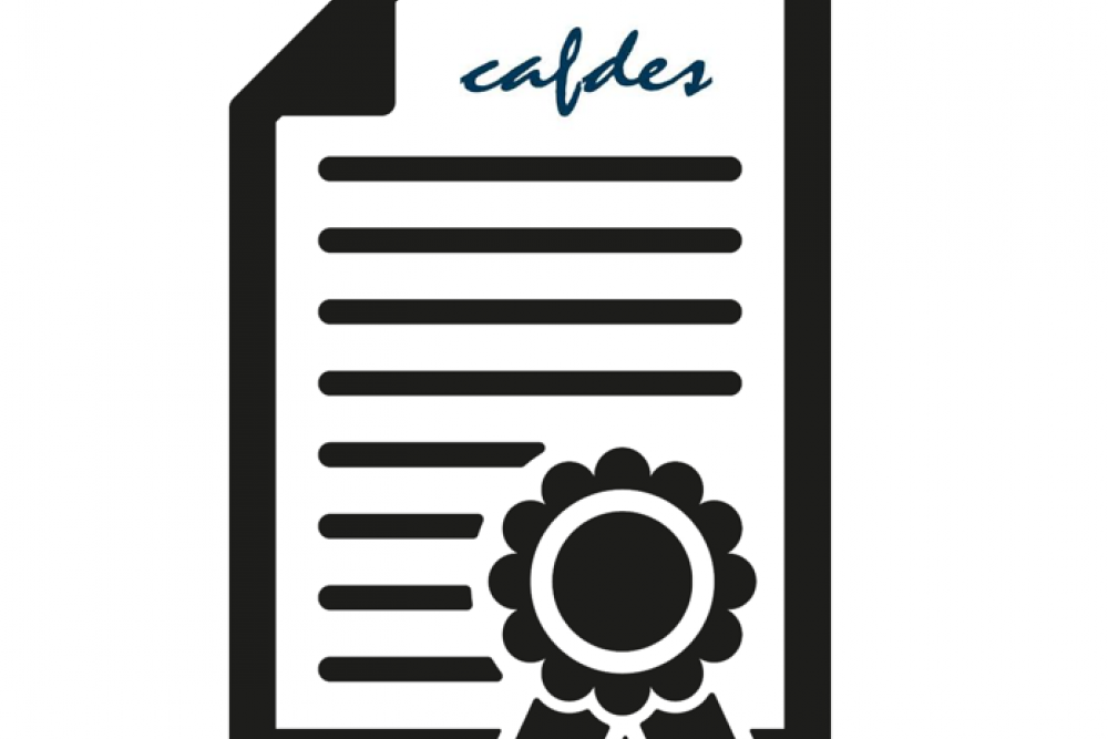 CAFDES : modification des modalités d'organisation de la formation et de délivrance