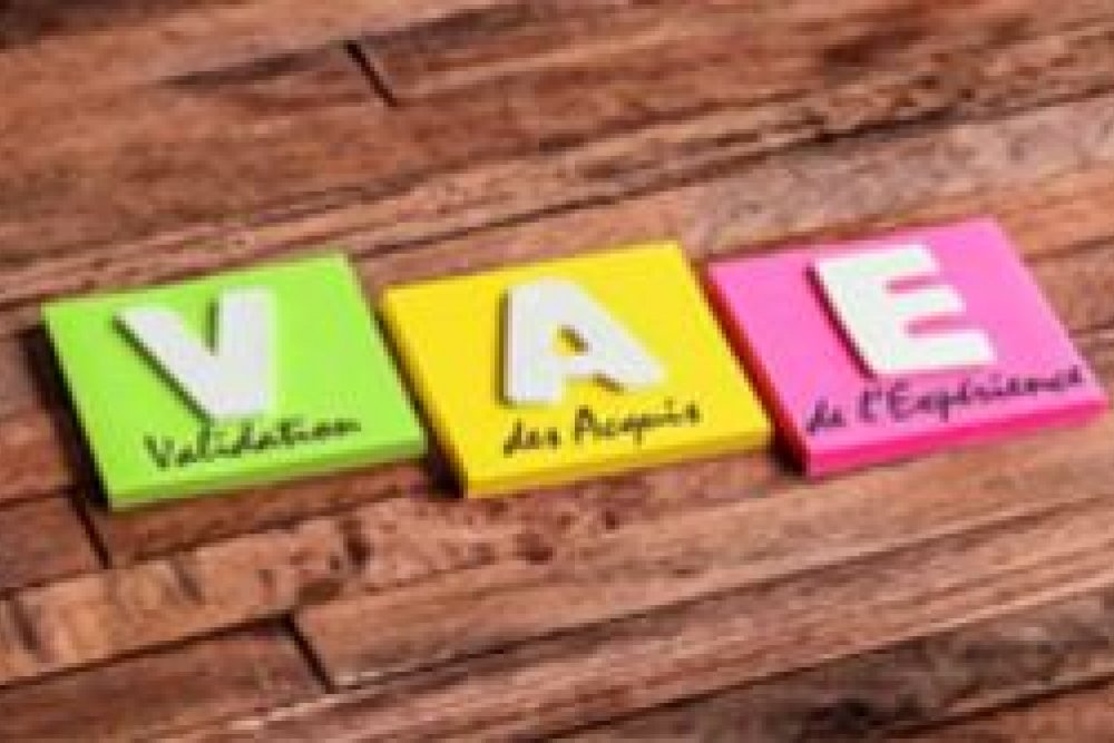 Valorisez vos compétences avec la VAE collective : un vrai tremplin pour les professionnels de terrain !
