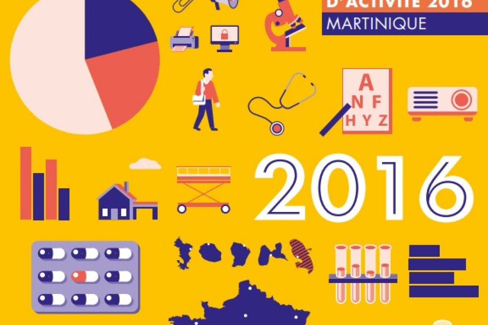 Rapport d'activité : découvrez les grands travaux de l'année 2016                                        