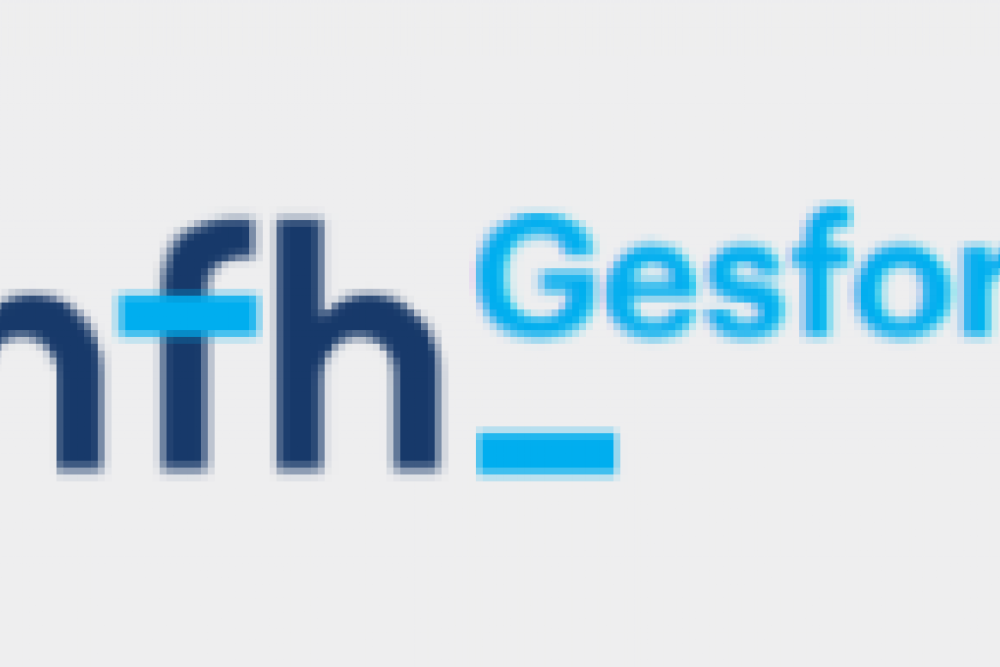 GESFORM