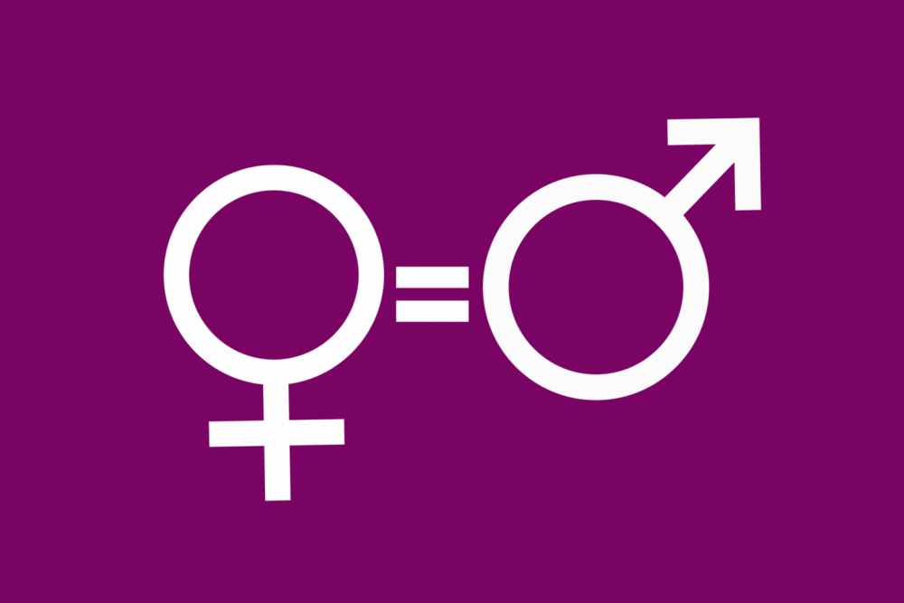 SEMINAIRE EGALITE PROFESSIONNELLE