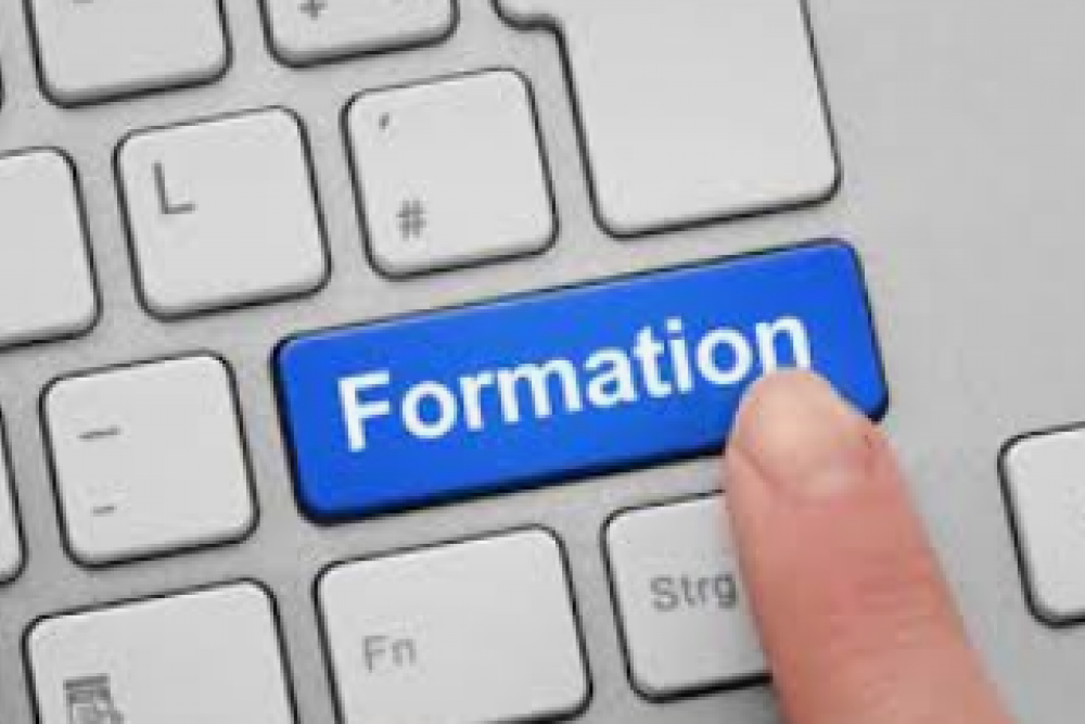 PLAN DE FORMATION GESFORM EVOLUTION 2025
