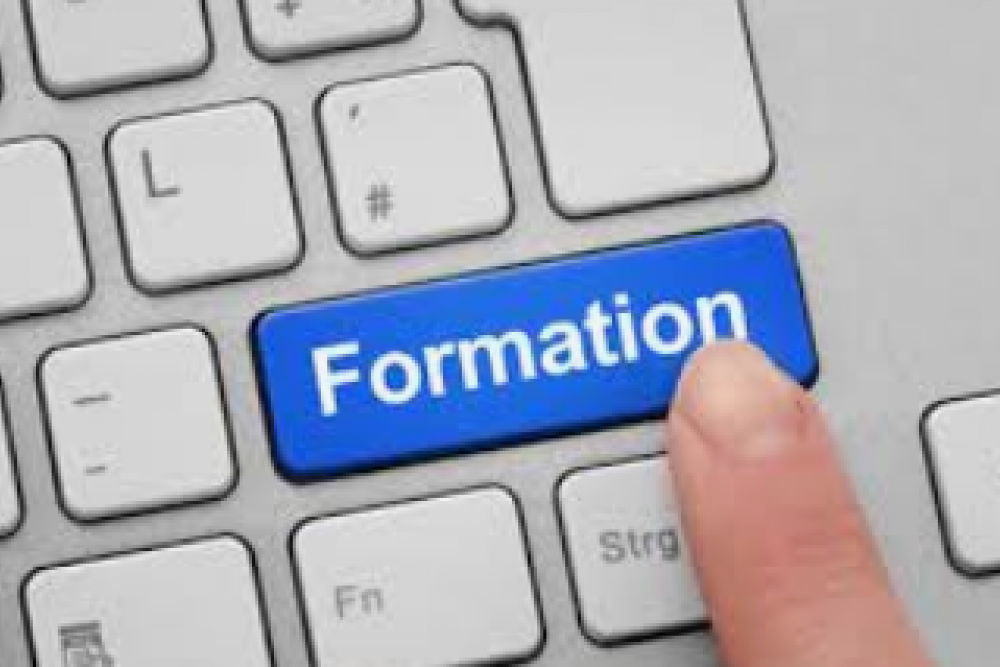 Formation Initiale Gesform Evolution