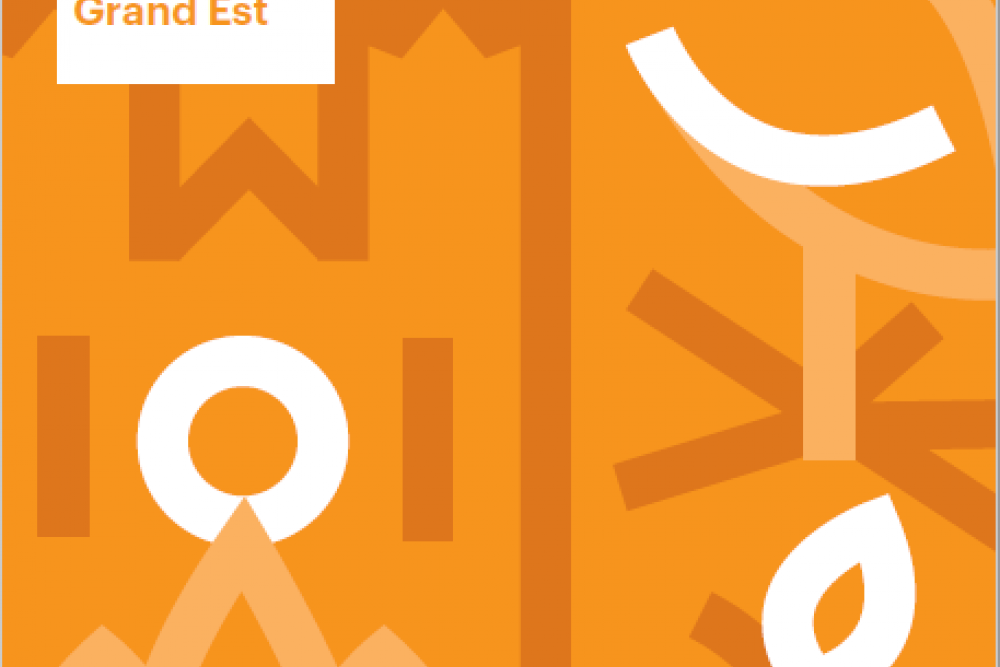 PLAN D'ACTIONS REGIONAL 2025 - GRAND EST