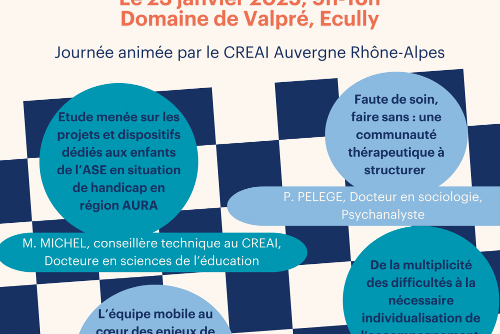 Journée réseau des établissements de la protection de l'enfance
