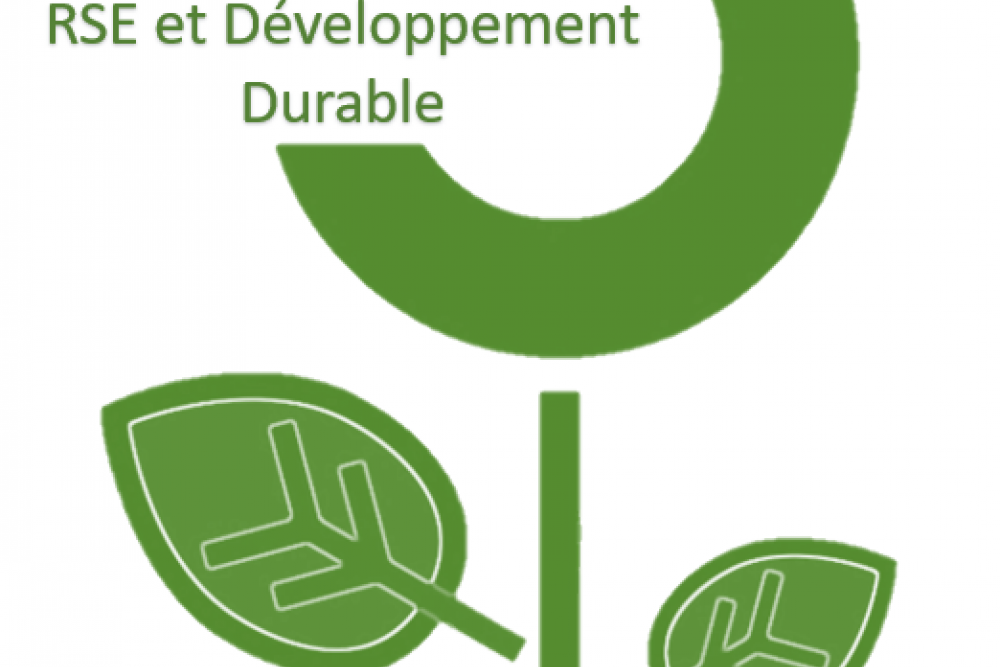 Offre de formation "Développement Durable/RSE"