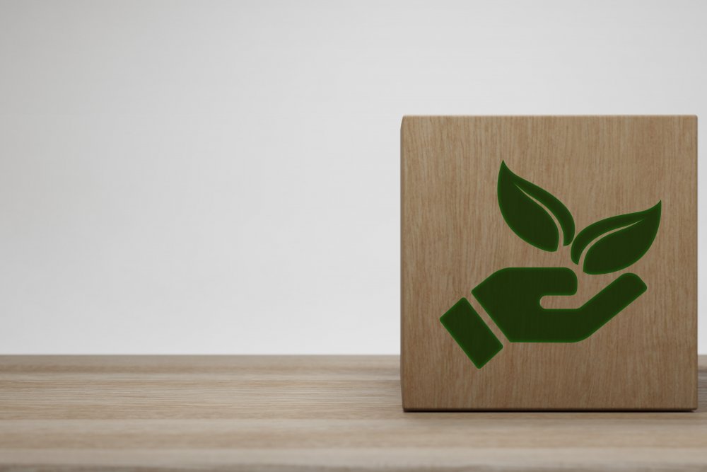 6 - Accompagnement au développement durable et au RSE