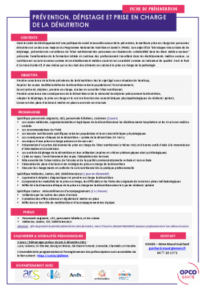 Fiche présentation DENUTRITION 2021.pdf