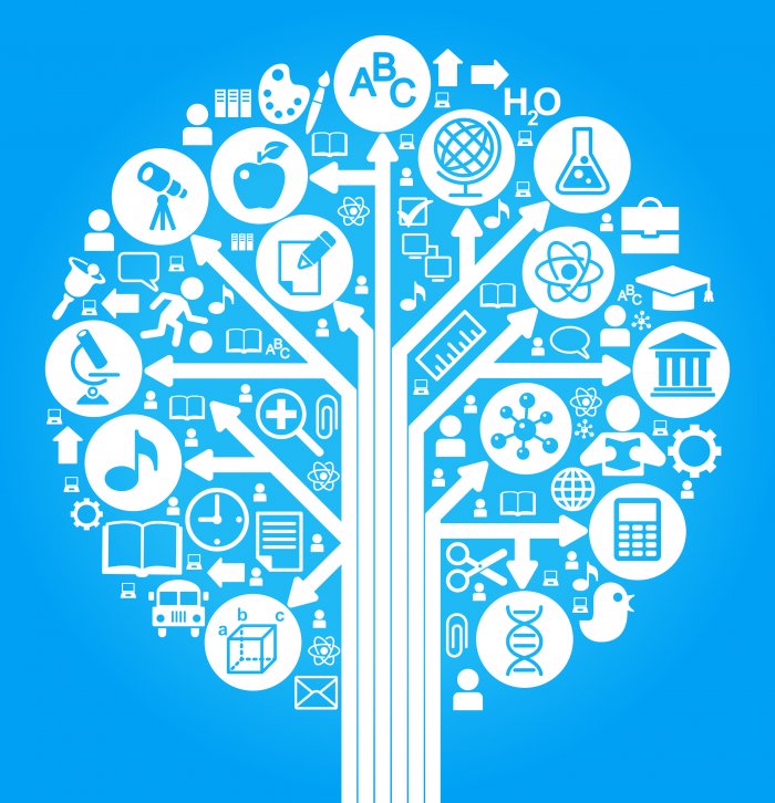 DEVELOPPEMENT DES COMPETENCES