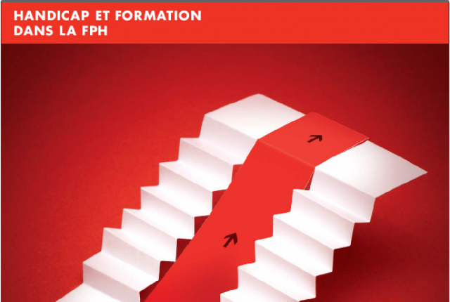 Les Formations à destination des travailleurs handicapés 