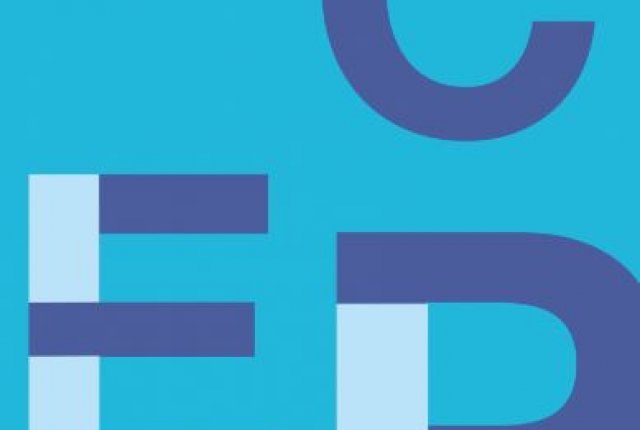 6/ LE CONSEIL EN EVOLUTION PROFESSIONNELLE (CEP)