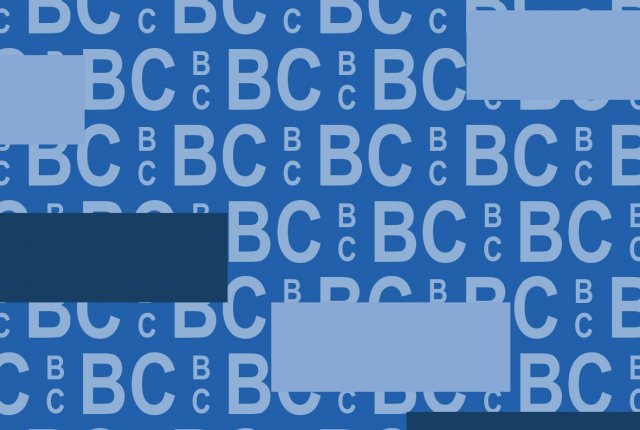 LE BILAN DE COMPETENCES B.C.