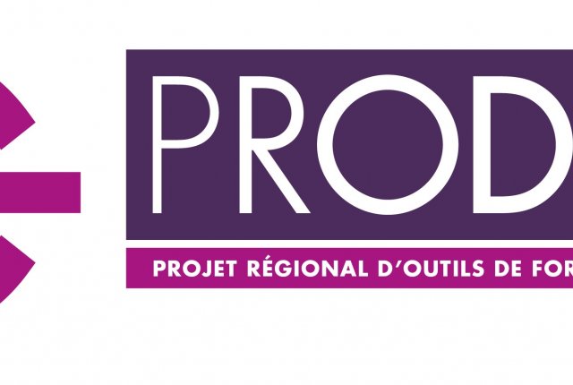 PRODIG - La formation Digitale