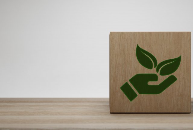 6 - Accompagnement au développement durable et au RSE
