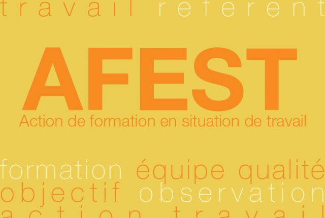 Actions de Formation En Situation de Travail (AFEST)